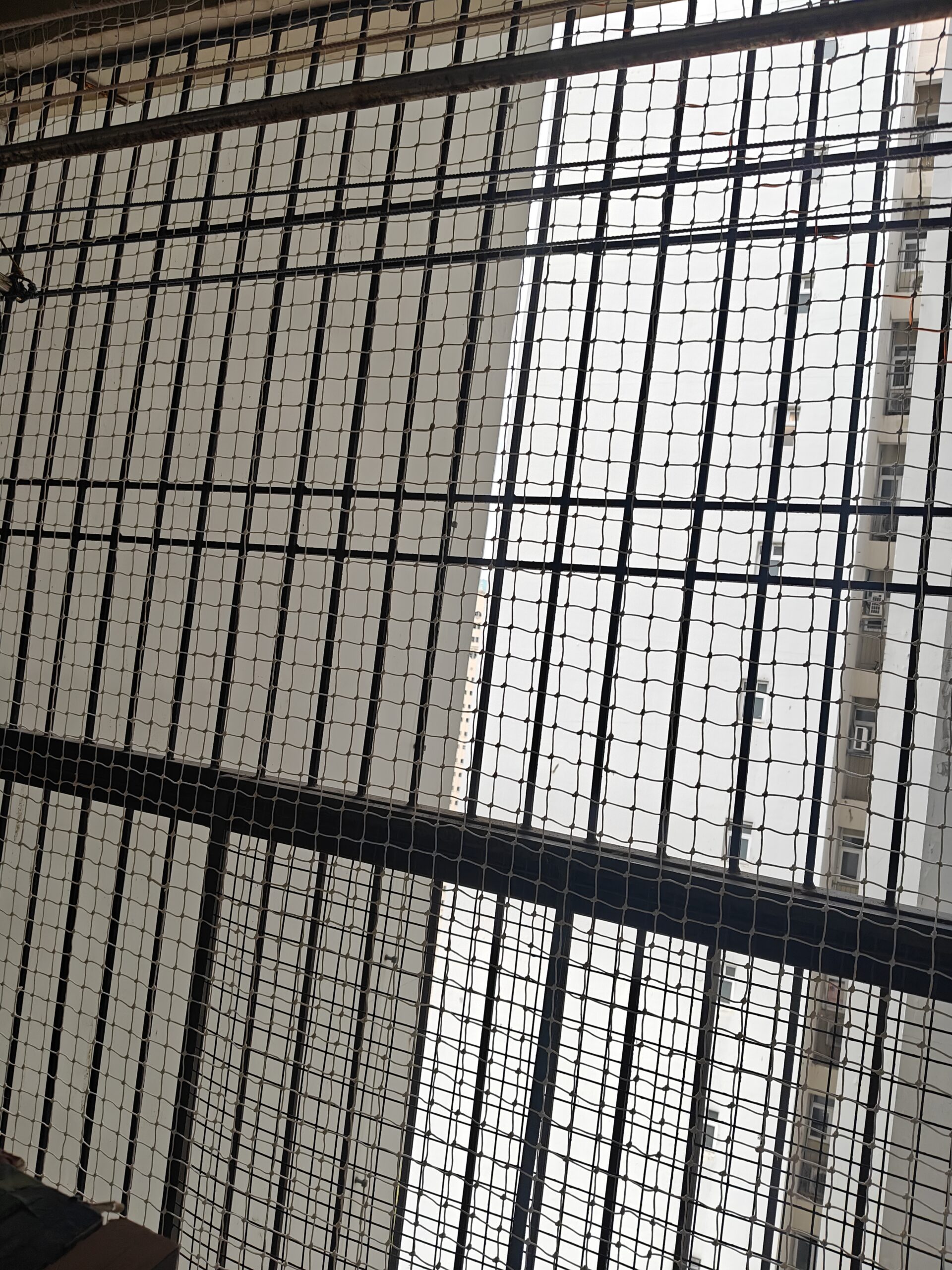 Commercial Pigeon Safety Net Installation