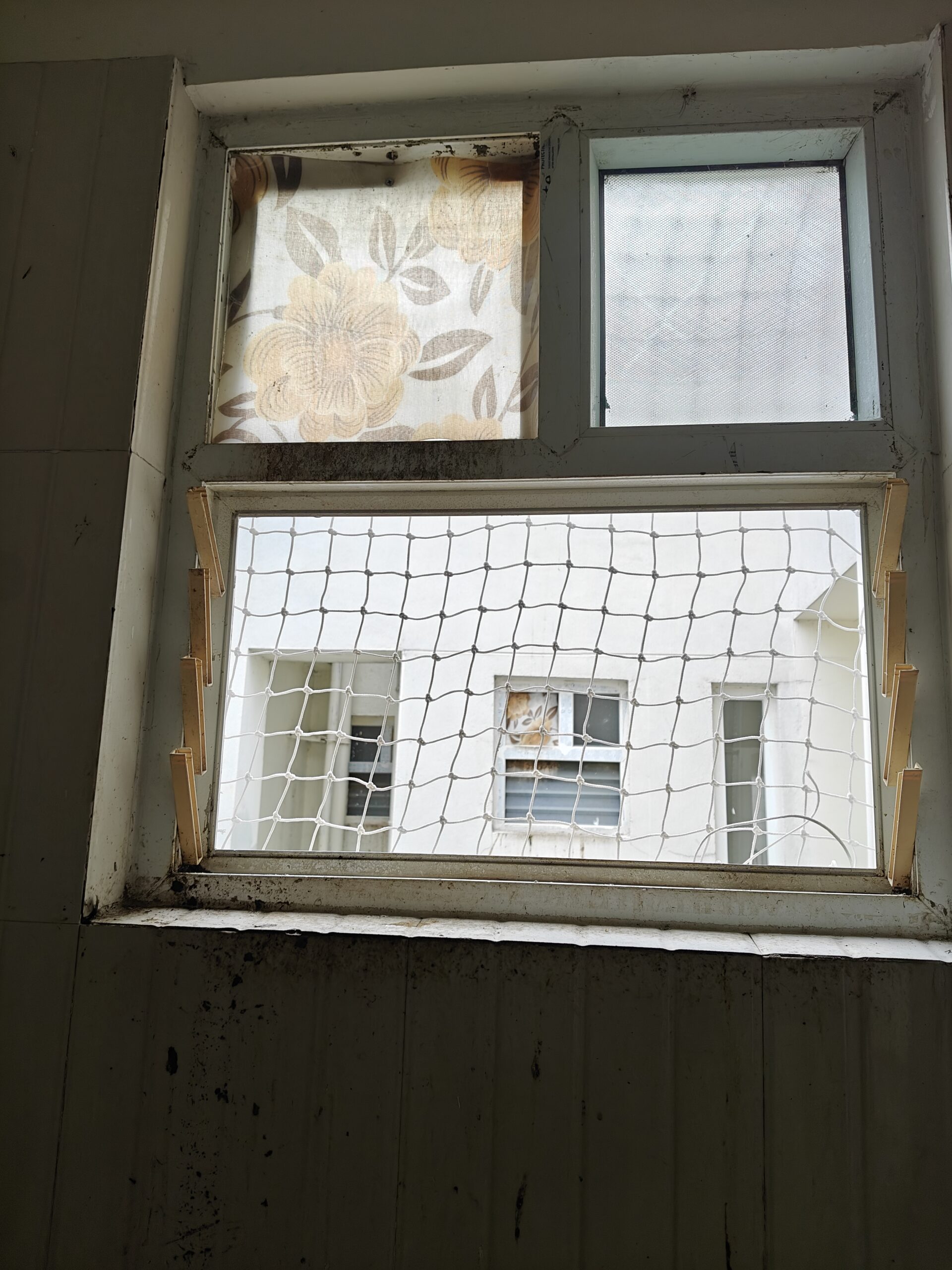 Window pigeon net installation for a Chennai apartment