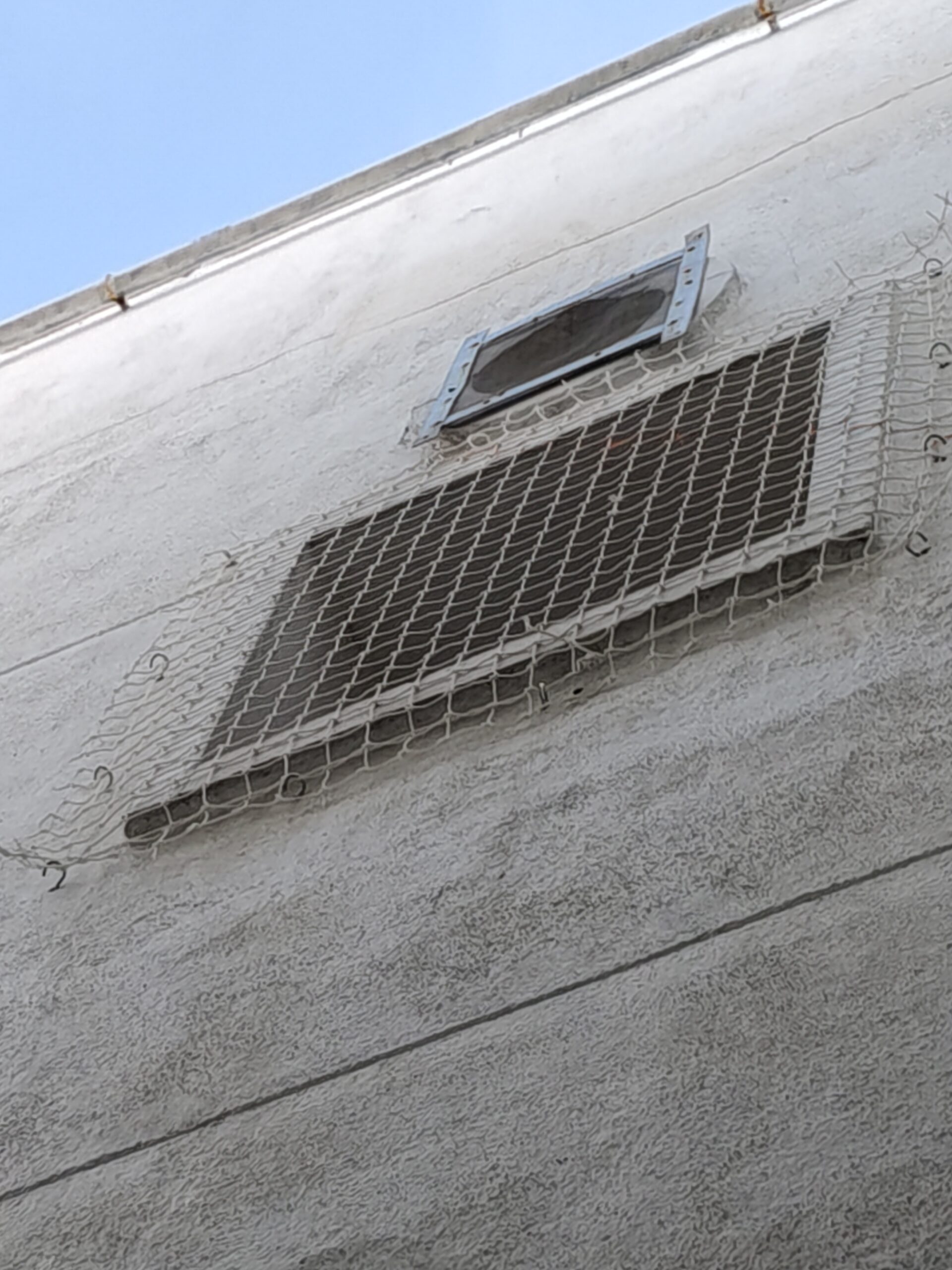 Pigeon Net in Kukatpally - service image 2